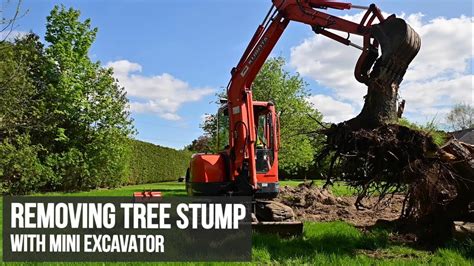 compact excavator pulling stump|stump removal with excavator.